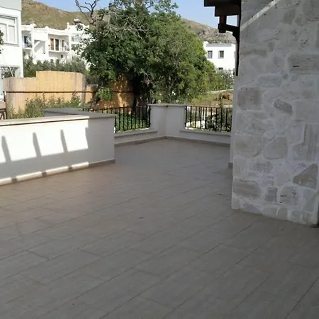 Y5s497220252 *