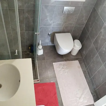 Otel Y5s497220252 *